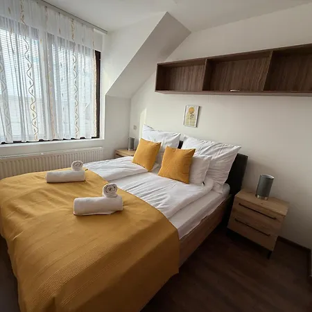 Apartament Vianelli *